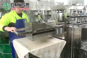 豆腐干生产线生产现场